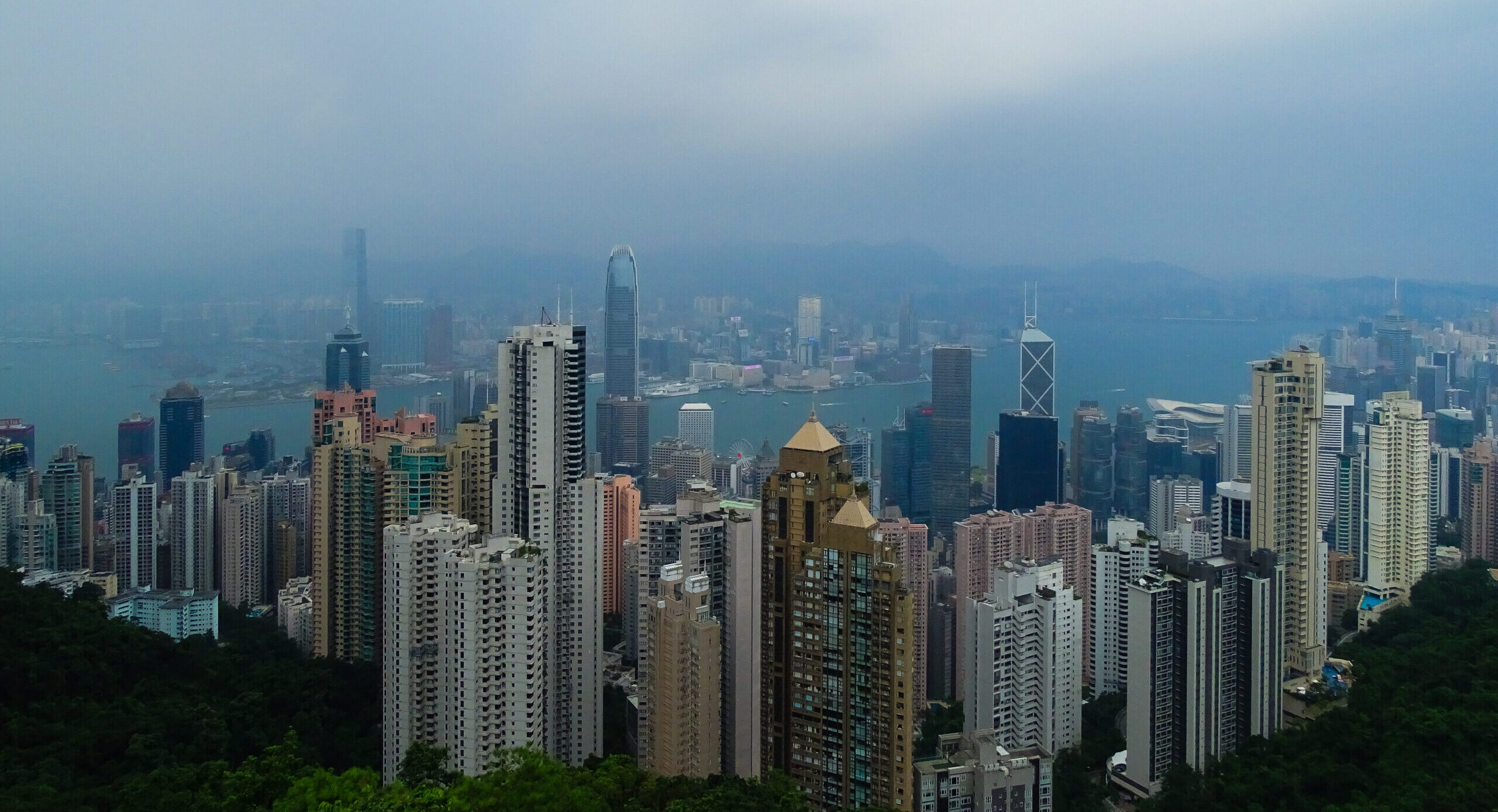 Vue de Hong Kong depuis le Victoria Peak - Diane Robert